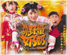 我的野蛮奶奶国语